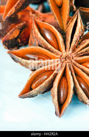 star anise on blue background close up Stock Photo