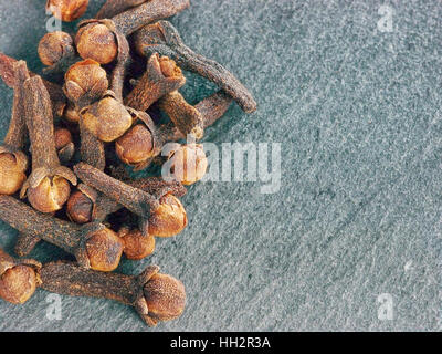 Cloves spice on gray slate background, copy space Stock Photo