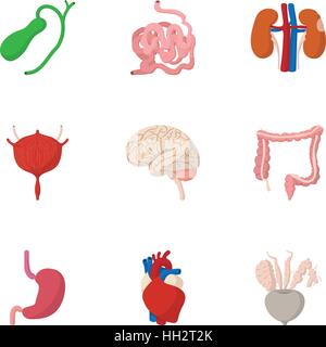 Human organs icons set, cartoon style Stock Vector