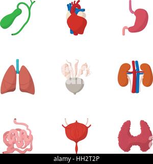 Bodies icons set, cartoon style Stock Vector