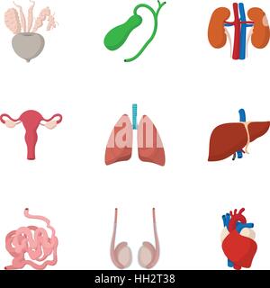 Structure of human icons set, cartoon style Stock Vector