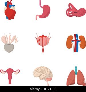 Internal organs icons set, cartoon style Stock Vector