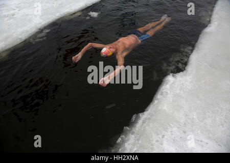 Moscow, Russia. 15th January, 2017. Members of the Capital walruses winter swimming club participate participate in swimming competitions in the ice-hole in Moscow, Russia Stock Photo