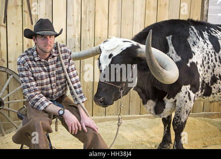 Denver, USA. 16th Jan, 2017. Longhorn Handler Rob poses for a pic with his pal Star at the National Western Stock Show Monday afternoon. Credit: Hector Acevedo/ZUMA Wire/Alamy Live News Stock Photo