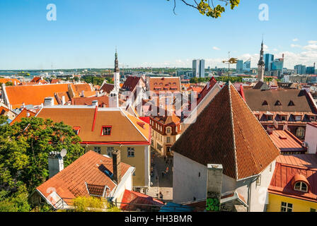 Cityscape of old town Tallinn with bright roofs in sunlight, Estonia Stock Photo