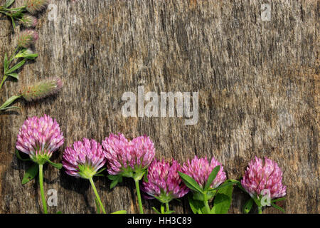 decoration with red clover flowers and leaves on the grey wooden background Stock Photo