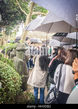 Jeju Island, Korea - November 13, 2016 : The tourist visited Seongeup Folk Village, Jeju Island, Korea Stock Photo