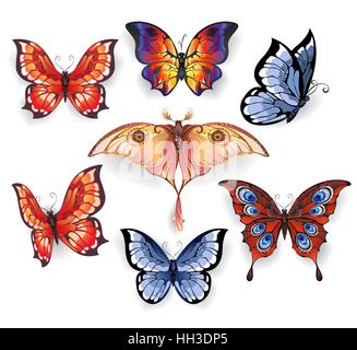 set of isolated bright, realistic exotic butterflies on a white background. Exotic butterflies.