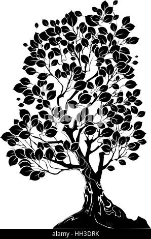 silhouette art drawn deciduous tree on a white background. Stock Vector