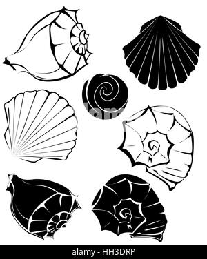 artistically painted, stylized seashells on a white background. Stock Vector