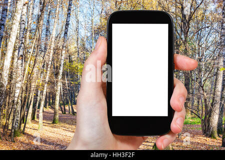 weather concept - hand holds smartphone with cut out screen with autumn forest on background Stock Photo