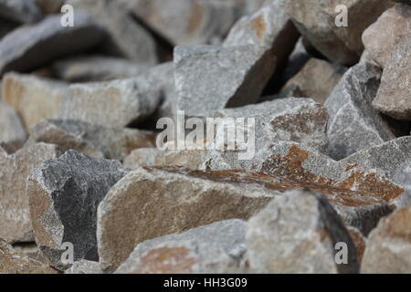 Steine Muschelkalk Muschelkalksteine Stock Photo