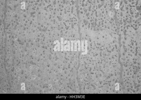 Blackboard anthracite Background Stock Photo
