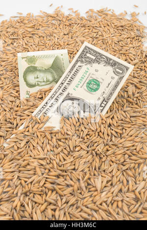Pile of wheat grain with Chinese 1 Yuan and US Dollar banknote / bills - for concept of US-China trade war / tariff war after import duties raised. Stock Photo