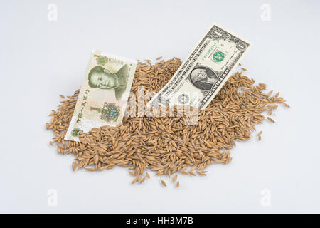 Pile of wheat grain with Chinese 1 Yuan and US Dollar banknote / bills - for concept of US-China trade war / tariff war after import duties raised. Stock Photo