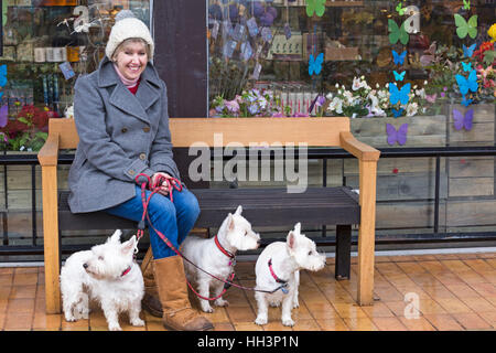 Woman sitting with West Highland White Terrier dogs outside gift shop at RHS Garden Wisley, Woking, Surrey, England UK in January Stock Photo