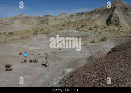 Paleontologists looking for fossils Utah Great Basin desert Stock Photo