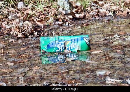 Trash littered on the ground in a forest Stock Photo