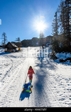 Girl is pulling snow sledge in ski resort  wearing winter clothes. High mountain ski resort, vacation, holiday and sunny day mountain peaks. Stock Photo