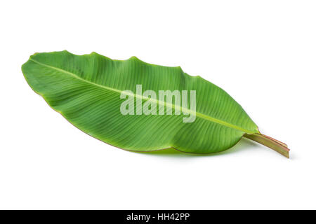 banana leaf isolated on white background Stock Photo