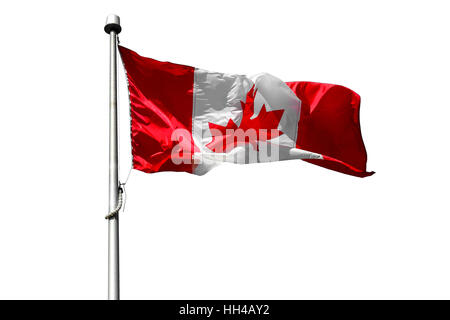 Flag of Canada flying - Canadian flag isolated on white background Stock Photo