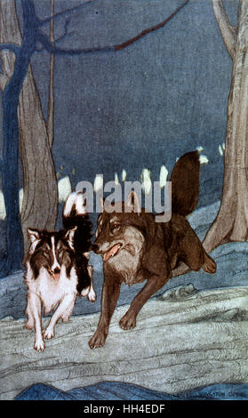 JACK LONDON/WHITE FANG Stock Photo