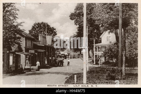 Lily Dale, NY, USA - South Street Stock Photo