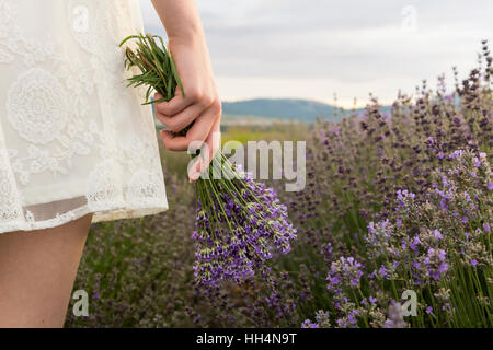 On lavender field women in white dress holding bouquet of lavender in hand
