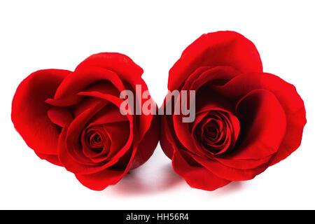 Two heart shaped red roses and champagne isolated on white background ...