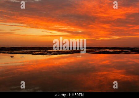 A fiery sunrise at Narrabeen rocks in Northern Sydney. Stock Photo