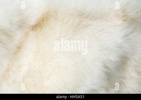 white artificial fur texture Stock Photo