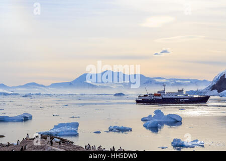 Antarctic cruise ship among icebergs and Gentoo penguins on the shore of Neco bay, Antarctica Stock Photo