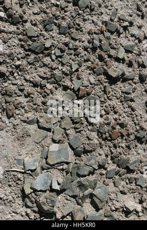 Turtle shell fossils Utah Great Basin desert Stock Photo