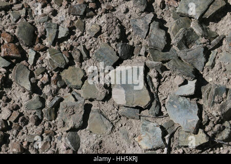 Turtle shell fossils Utah Great Basin desert Stock Photo