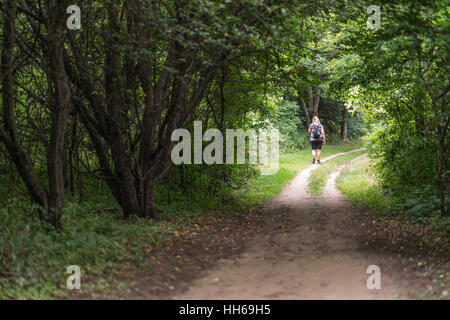 Female hiking in the woods down a dirt path on a beautiful summer day. Green canopy of trees above her. View from the back of person - full body. Stock Photo