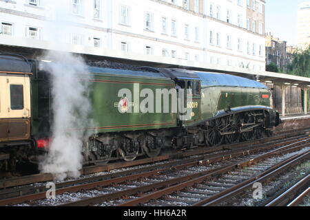 60019 Bittern at London Victoria Station Stock Photo