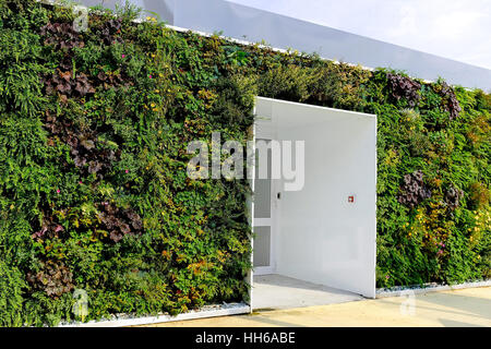 Sustainable architecture on display at the 2015 World Exposition in Milan, Italy exhibiting a full wall of vertical foliage. Stock Photo