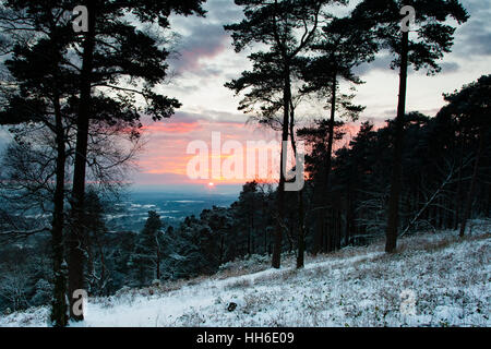 Leith Hill, Surrey, UK. Sunset viewed through trees. Stock Photo