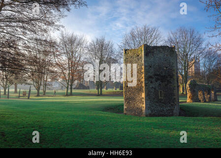 Bury St Edmunds, view of a ruined section of the medieval abbey buildings in the Abbey Gardens in Bury St Edmunds, Suffolk, UK Stock Photo