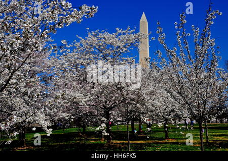 Washington, DC -:  Visitors at the moving WW II Memorial on the National Mall with the Atlantic Pavilion and States steles Stock Photo
