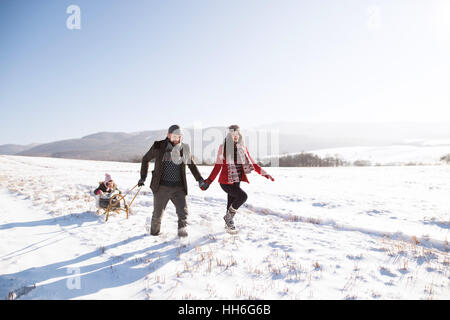 Father and mother pulling daughter on sledge, running. Winter na Stock Photo