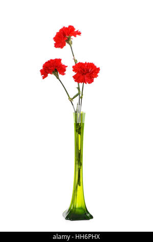 Three red carnations in green vase isolated on white Stock Photo