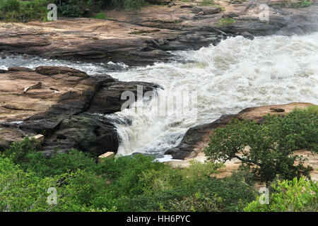 africa, uganda, dash, go quickly, fast, quick, quickly, speed, velocity, river, Stock Photo