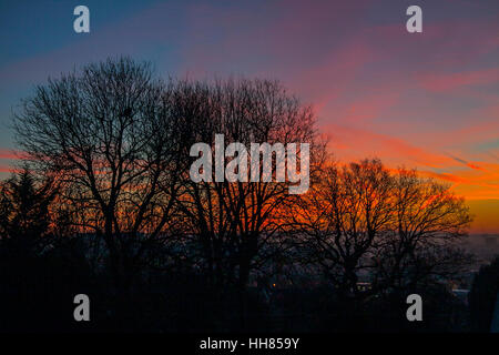 Wimbledon, London, UK. 18th Jan, 2017. Residential rooftops and trees are silhouetted against a beautiful winter sunrise with stunning colours on a cold morning in Wimbledon south west London Credit: amer ghazzal/Alamy Live News Stock Photo
