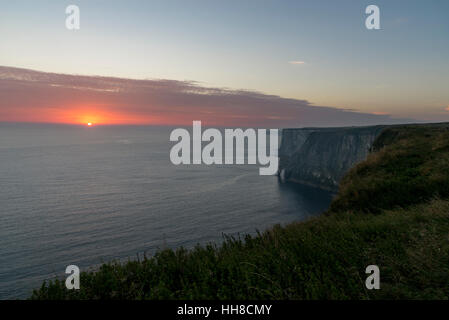 Beautiful morning at Bempton cliffs on the east coast of England. Dramatic sheer chalk cliffs. Stock Photo