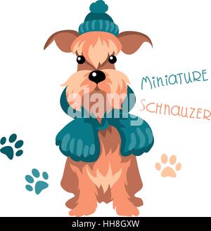 Miniature Schnauzer dog in winter hat and scarf Stock Vector