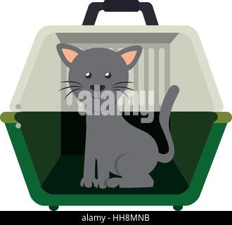 cute cat in transport box vector illustration design Stock Vector