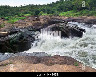 africa, uganda, dash, go quickly, fast, quick, quickly, speed, velocity, river, Stock Photo