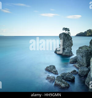 Portofino natural regional park. Lonely pine tree rock and coastal cliff beach. Long exposure photography. Liguria, Italy Stock Photo