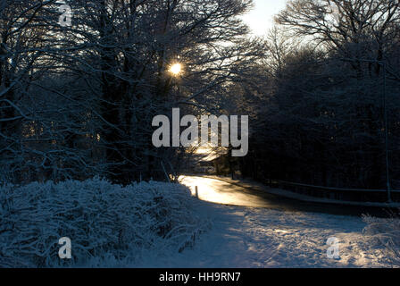 Winter scene with road snow and low lying  sun seen through the branches and reflecting off the road Stock Photo